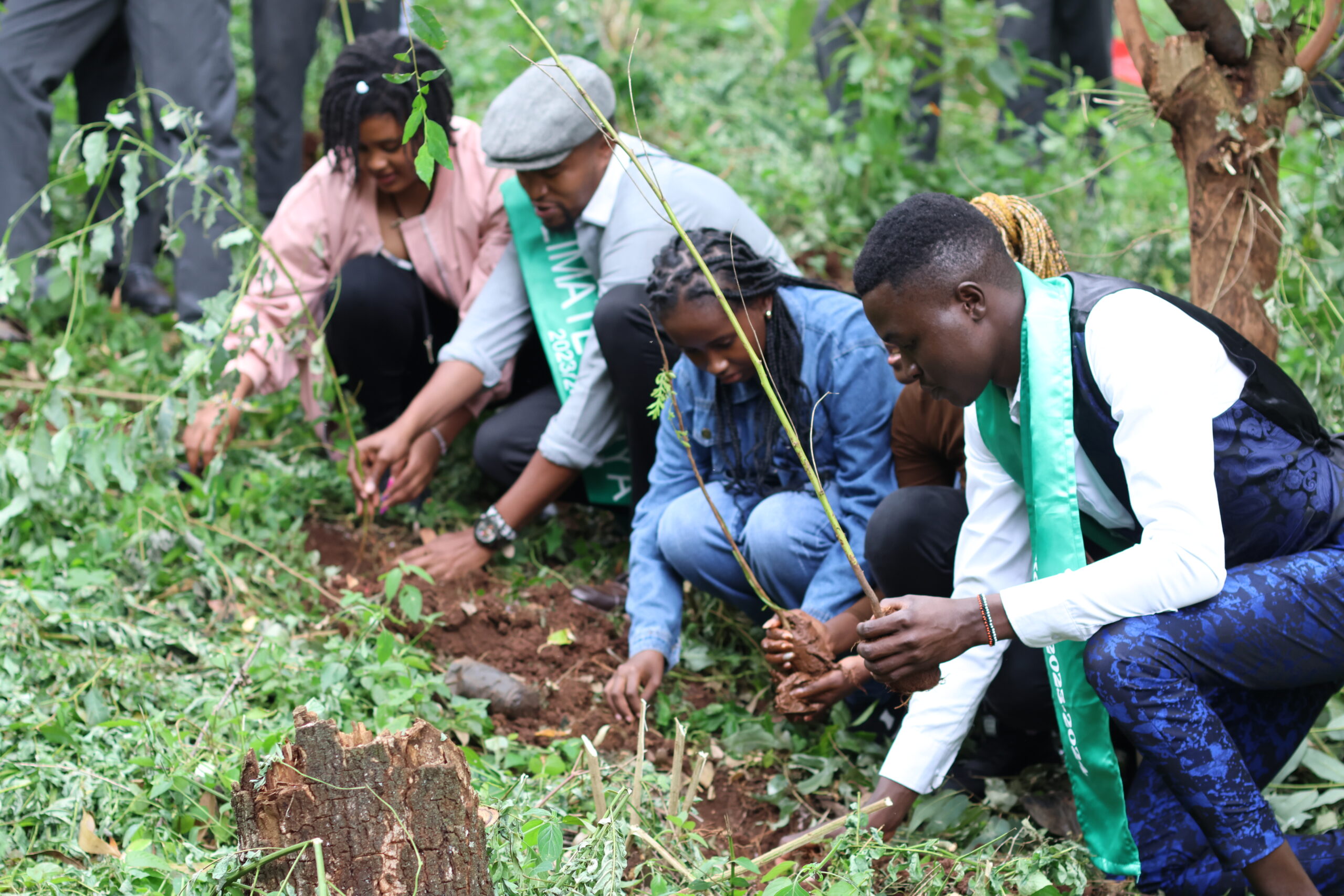 Environment